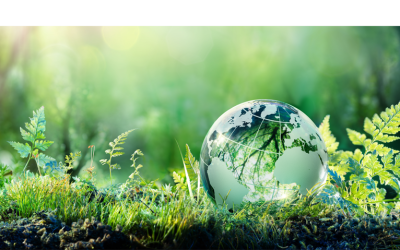 Izvještavanje o održivosti – novosti u 2025. godini – 2. dio